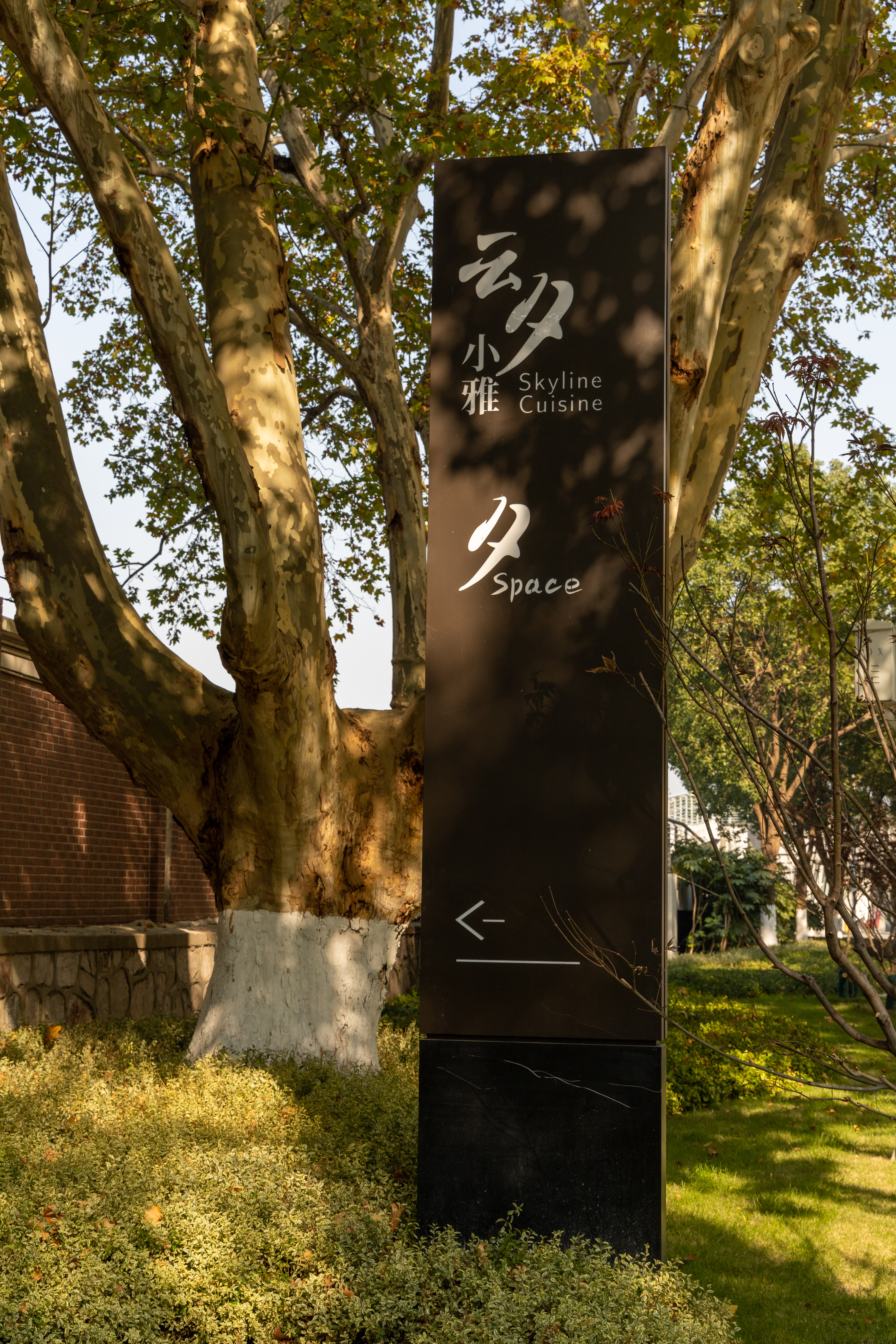 中山码头旁边江景咖啡馆